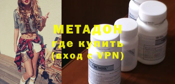 прущие грибы Инта
