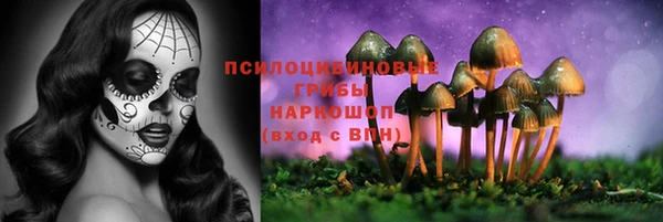 твердый Аркадак