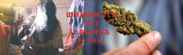 дмт Арсеньев