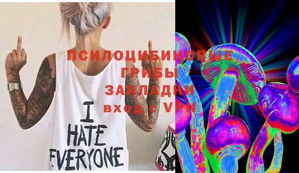 дмт Арсеньев