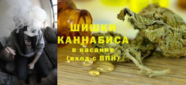 индика Балабаново