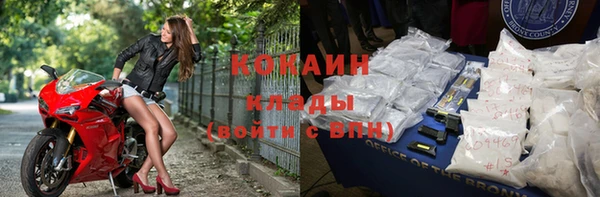 твердый Аркадак